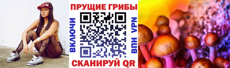 Галлюциногенные грибы мицелий  Купить  Белоярский 